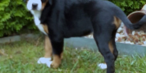 Beitragsbild des Blogbeitrags Sie ist bei gutem Appetit und stets neugierig