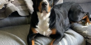 Beitragsbild des Blogbeitrags Grüße von Frieda 