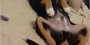 Beitragsbild des Blogbeitrags Schlafen darf nicht zu kurz kommen.