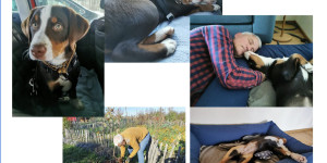 Beitragsbild des Blogbeitrags Die ersten 36 Stunden
