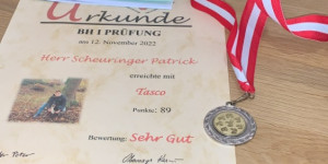Beitragsbild des Blogbeitrags Herzlichen Glückwunsch