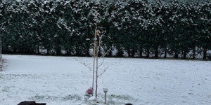 Beitragsbild des Blogbeitrags Freude mit dem ersten Schnee