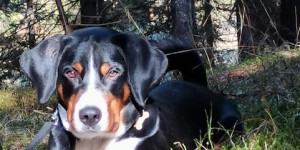 Beitragsbild des Blogbeitrags Foto und Grüße von Saffron