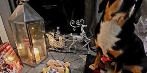 Beitragsbild des Blogbeitrags Ich hoffe Euer Nikolaus war auch fleißig.