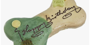 Beitragsbild des Blogbeitrags 10-jähriges Geburtstags-Jubiläum (Tabit von den Gänsewiesen) und seiner Geschwister