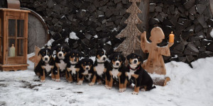 Beitragsbild des Blogbeitrags Wartet da jemand auf das Christkind?