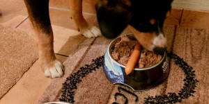 Beitragsbild des Blogbeitrags Gerade ist Abendbrotzeit.
