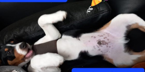 Beitragsbild des Blogbeitrags Wir sind sehr glücklich mit unserem kleinen Racker…ist zwar oft anstrengend aber süss