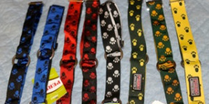 Beitragsbild des Blogbeitrags Halsband oder Brustgeschirr?