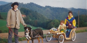 Beitragsbild des Blogbeitrags Ari vom Guten Ton, unser erster Grosser Schweizer Sennenhund