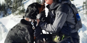 Beitragsbild des Blogbeitrags Saffron aus dem Gardasee