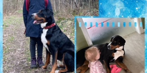 Beitragsbild des Blogbeitrags Grüße von Frieda  