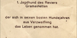Beitragsbild des Blogbeitrags Gedenkbild Birko Hofer :-(