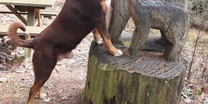 Beitragsbild des Blogbeitrags Carlo´s Kurzuraub in der Steiermark