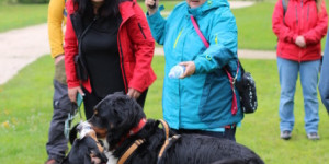 Beitragsbild des Blogbeitrags Frühlingswanderung 2023 