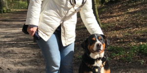 Beitragsbild des Blogbeitrags Grüsse aus Niederlande