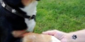 Beitragsbild des Blogbeitrags Es ist immer zu früh
