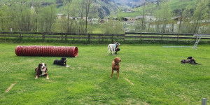 Beitragsbild des Blogbeitrags Tolle Wanderung in Bucheben