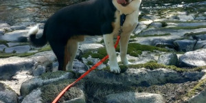 Beitragsbild des Blogbeitrags Am Wasser