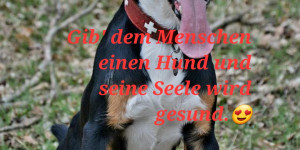 Beitragsbild des Blogbeitrags Wir sind wieder glücklich