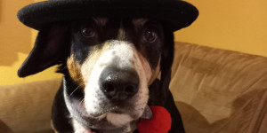 Beitragsbild des Blogbeitrags 11. Geburtstag Paula- Ylvie