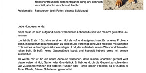 Beitragsbild des Blogbeitrags Hund in Not
