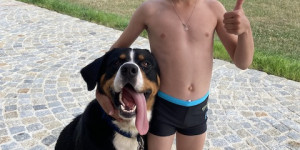 Beitragsbild des Blogbeitrags Aktuelle Fotos von unserem Löwen H-Rex.