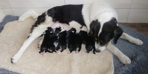 Beitragsbild des Blogbeitrags An die Geburtstagskinder vom 09.06.2011