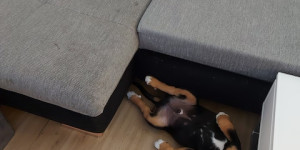 Beitragsbild des Blogbeitrags Diese Ruhe ist einfach herrlich