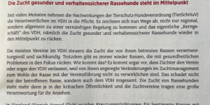 Beitragsbild des Blogbeitrags Neue Wege in der Hundezucht – ENDLICH!!