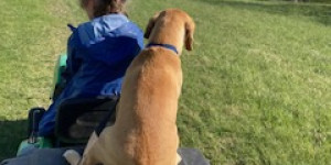 Beitragsbild des Blogbeitrags Unser Puggel „Zakai“ ist ein wahrer Glücksgriff,…..