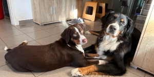 Beitragsbild des Blogbeitrags Yumi und Keiko