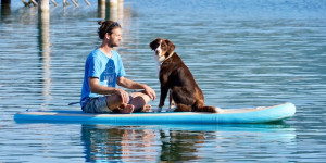 Beitragsbild des Blogbeitrags Bibi wunderbar
