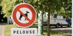 Beitragsbild des Blogbeitrags Wir alle lachen gerne