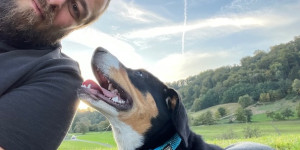 Beitragsbild des Blogbeitrags Elsa ist ja nun mittlerweile 6 Monate alt und wiegt 22 kg!