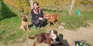 Beitragsbild des Blogbeitrags Hallo,wieder mal ein Lebenszeichen von uns!