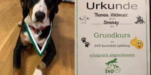 Beitragsbild des Blogbeitrags Smokeys erste Prüfung