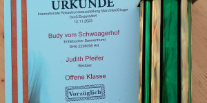 Beitragsbild des Blogbeitrags Glückwunsch zum Erfolg