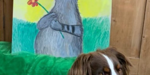 Beitragsbild des Blogbeitrags Wölfchen und der Hund „Mila“