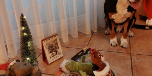 Beitragsbild des Blogbeitrags Wir wünschen Euch allen eine wunderschöne Weihnachtszeit.