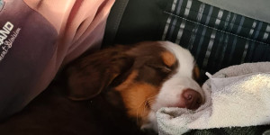 Beitragsbild des Blogbeitrags Wir sind gut angekommen