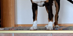 Beitragsbild des Blogbeitrags Neue Bilder von Xana