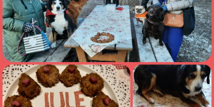 Beitragsbild des Blogbeitrags Geburtstagsgrüsse von Julchen