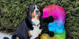 Beitragsbild des Blogbeitrags Xaver hatte vor 8 Tagen Geburtstag