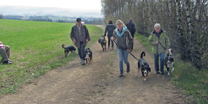 Beitragsbild des Blogbeitrags Osterwoche