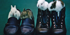 Beitragsbild des Blogbeitrags Osterhasen Erinnerungen