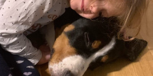 Beitragsbild des Blogbeitrags Beste Freunde