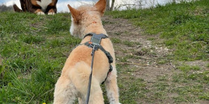 Beitragsbild des Blogbeitrags Ich hoff ihr seid alle wohlauf!