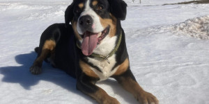 Beitragsbild des Blogbeitrags Unser Beethoven