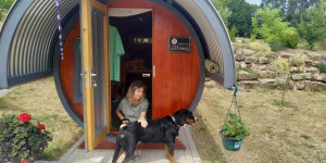Beitragsbild des Blogbeitrags Hundewanderung 2024